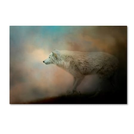 Jai Johnson 'Journey Of The Timber Wolf' Canvas Art,22x32
